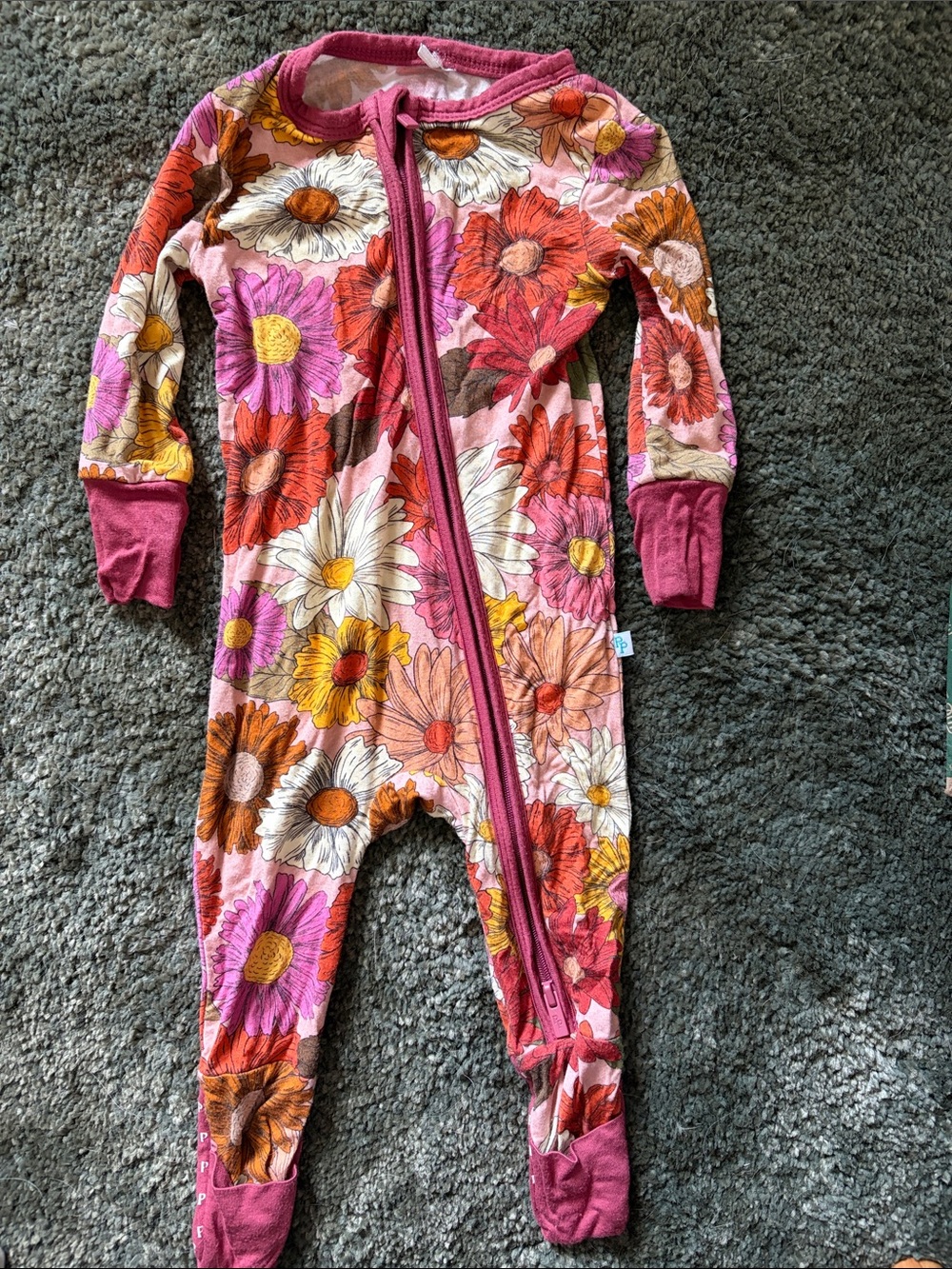 Posh Peanut Pink Multi Floral Footed One-Piece